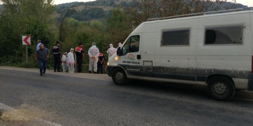 6 bin tavuğun ölü bulunduğu mahalle karantinaya alındı