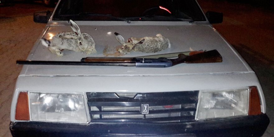 Konya'da otomobil farıyla tavşan avlayanlara suçüstü!
