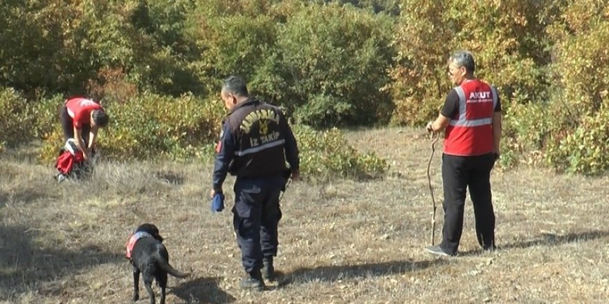 Ormana çıra toplamaya çıktı kendisinden bir daha haber alınamadı
