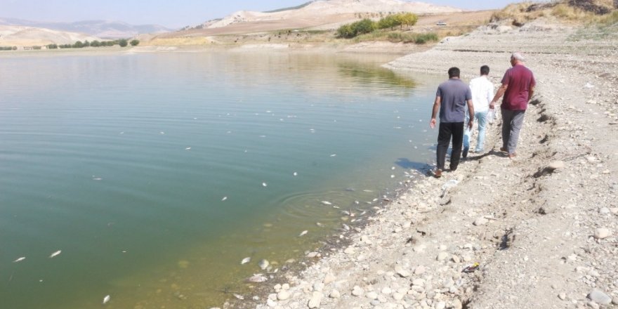 Adıyaman’da korkutan balık ölümleri