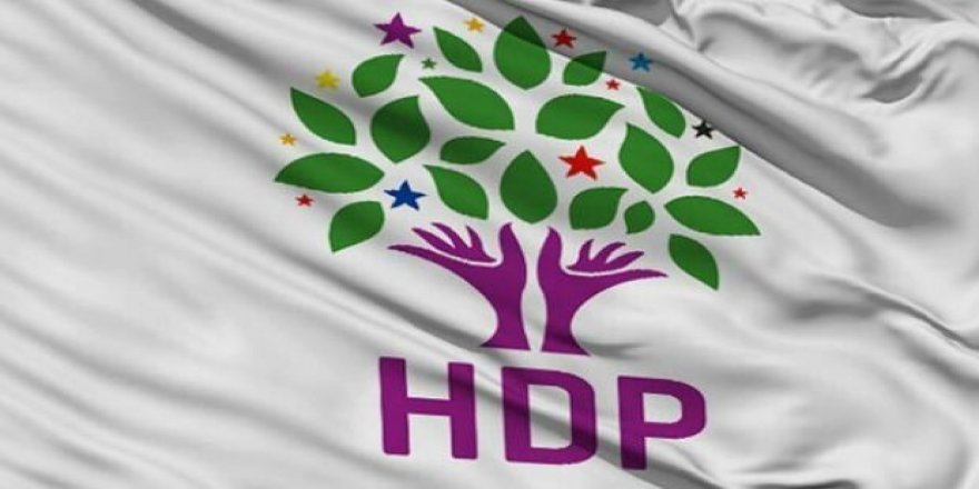 Barış Pınarı Harekatı'yla ilgili HDP'den küstah açıklama
