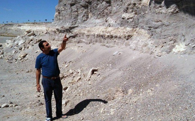 Mamut fosillerinin çıktığı bölgenin sit alanı olması talebi