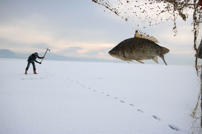 Konya'da “eskimo” usulü balık avı