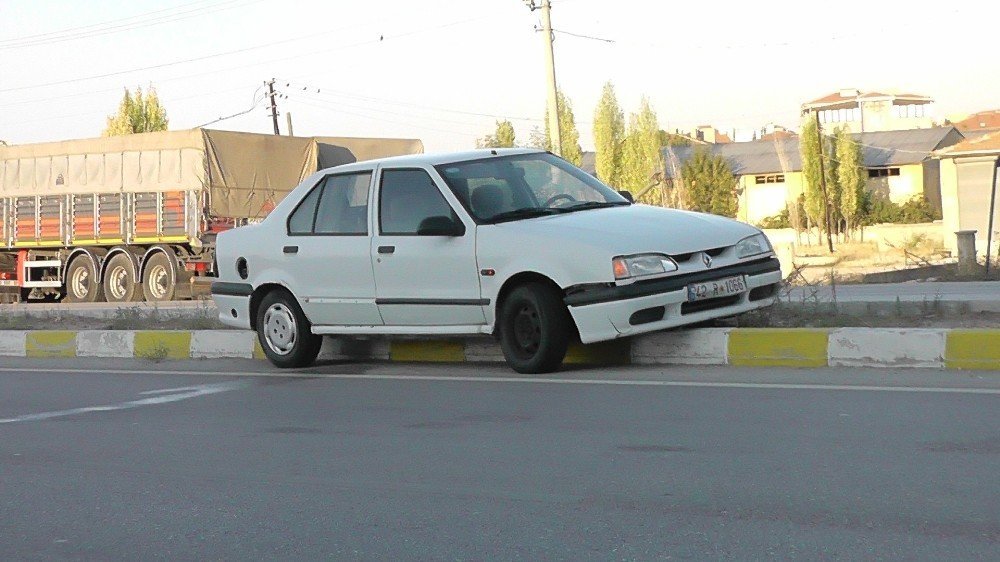 Konya'da başıboş eşek kazaya sebep oldu