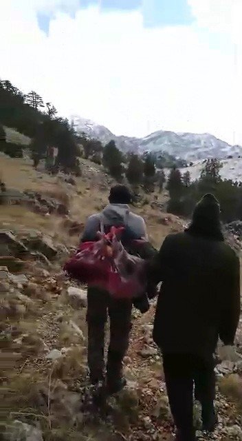 Koruma altındaki türlerden dağ keçisi avına 16 bin lira ceza
