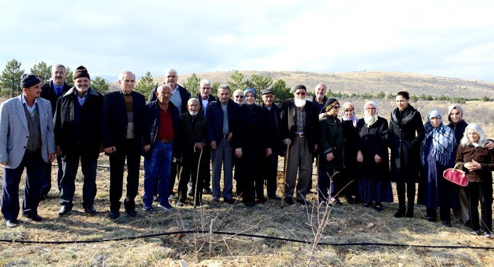 Huzurevi sakinleri fidan dikti
