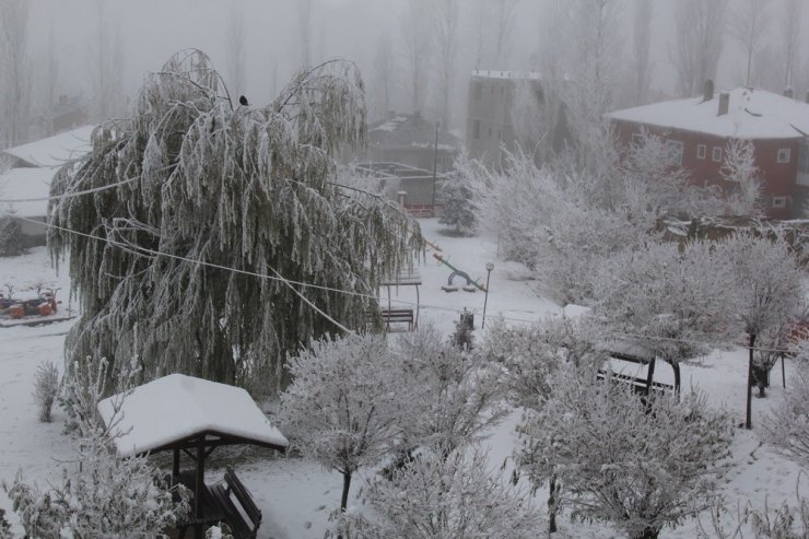 Başkale’de dondurucu soğuklar