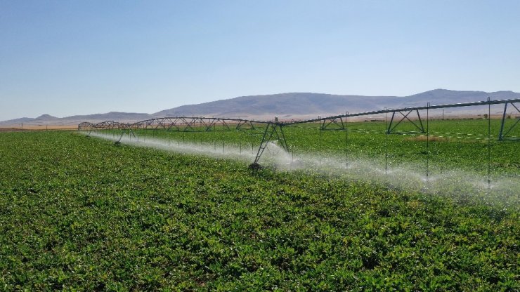 Konya’da 1 milyon 224 bin dekar tarım arazisi sulandı
