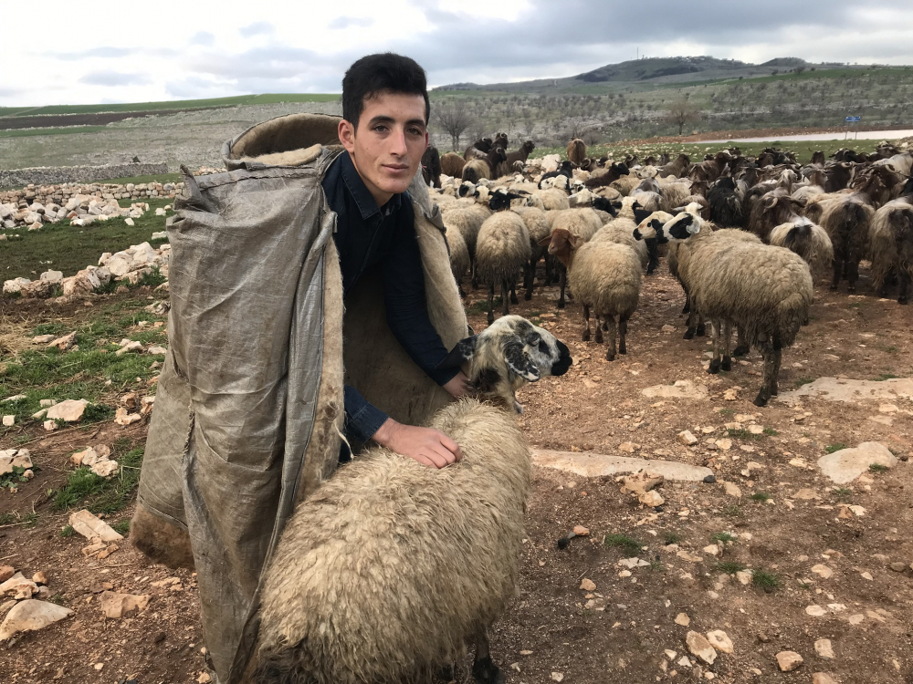 18 yaşına girerek ilk kez oy kullanan çoban genç mahallesine muhtar oldu 5