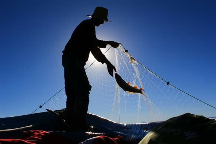 Konyalı balıkçının fotoğraf tutkusu 12