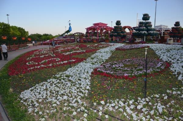 Konya'da 500 bin bitkinin bulunduğu rengarenk bahçeye ziyaretçi akını 10