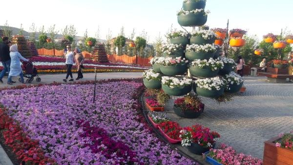 Konya'da 500 bin bitkinin bulunduğu rengarenk bahçeye ziyaretçi akını 2
