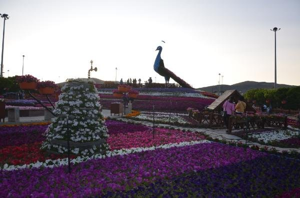 Konya'da 500 bin bitkinin bulunduğu rengarenk bahçeye ziyaretçi akını 9