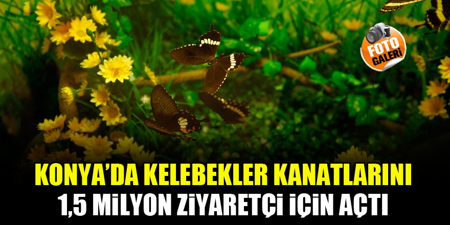 Konya'da kelebekler kanatlarını 1,5 milyon ziyaretçi için açtı