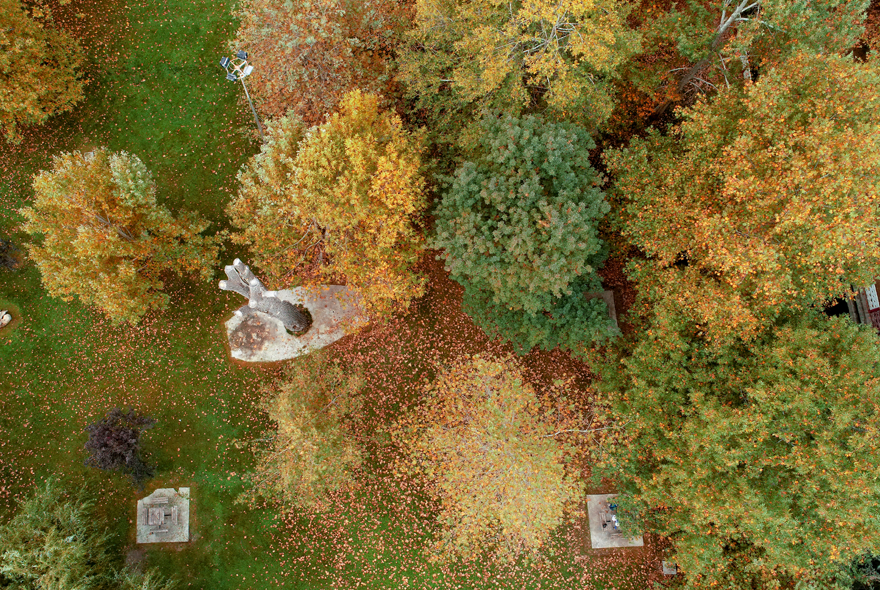 Konya'daki Kuğulu Milli Parkı sonbahar görüntüsüyle büyülüyor 15
