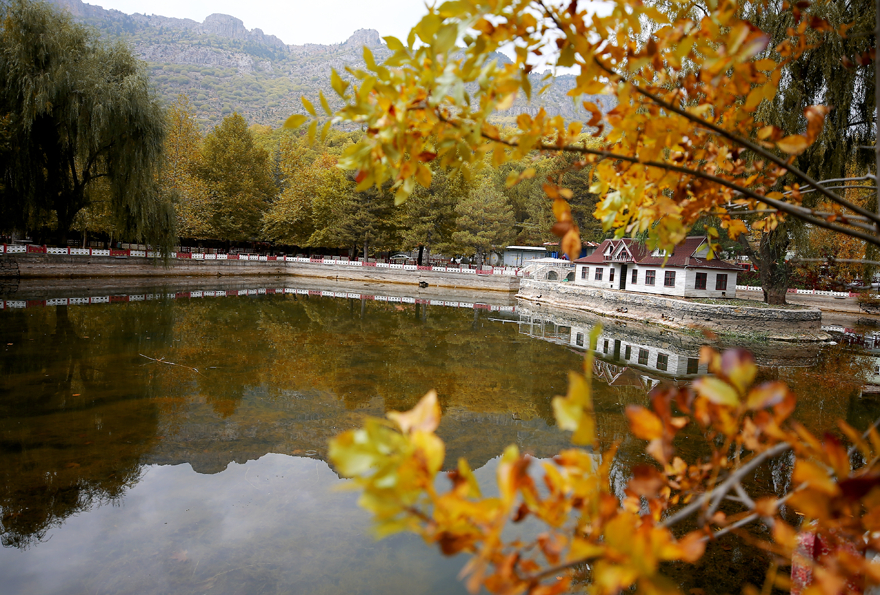 Konya'daki Kuğulu Milli Parkı sonbahar görüntüsüyle büyülüyor 4