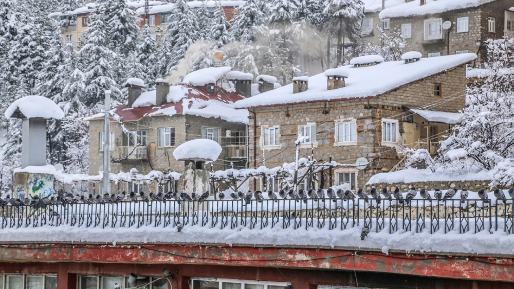 Konya'nın Hadim ilçesinde kar yağışı etkili oldu 9