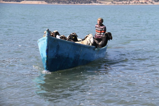 Keçilerin göl üzerinde balıkçı tekneleriyle dönüş yolculuğu 15
