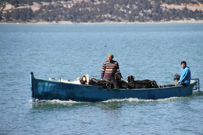 Keçilerin göl üzerinde balıkçı tekneleriyle dönüş yolculuğu 9