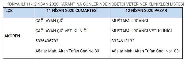 Konya'da yasak boyunca görevli nöbetçi veteriner klinikleri 1