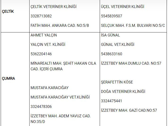 Konya'da yasak boyunca görevli nöbetçi veteriner klinikleri 7