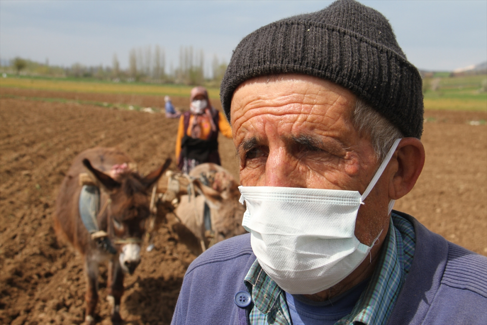 Konya'da çiftçilerin "atlı eşekli" fasulye ekimi mesaisi 14