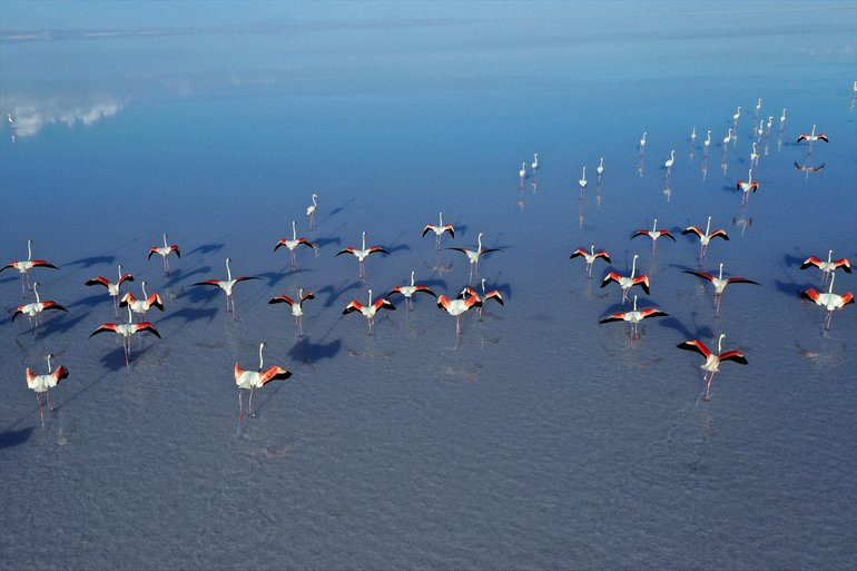 Flamingoların yaşam cenneti Tuz Gölü'ndeki görsel şöleni 16