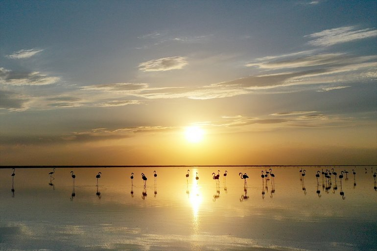 Flamingoların yaşam cenneti Tuz Gölü'ndeki görsel şöleni 19