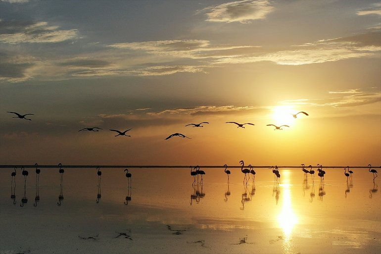 Flamingoların yaşam cenneti Tuz Gölü'ndeki görsel şöleni 20