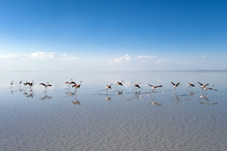 Flamingoların yaşam cenneti Tuz Gölü'ndeki görsel şöleni 3