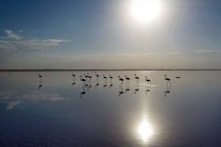 Flamingoların yaşam cenneti Tuz Gölü'ndeki görsel şöleni 6
