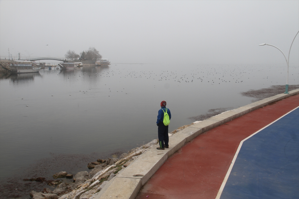 Beyşehir Gölü Milli Parkı'nda sisli hava güzel manzaralar oluşturdu 8