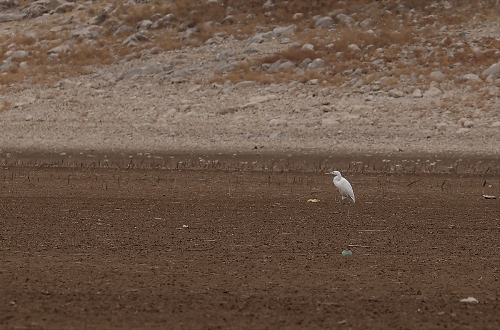 Konya'da suları çekilen May Barajı, kuraklığın boyutunu gözler önüne seriyor 3
