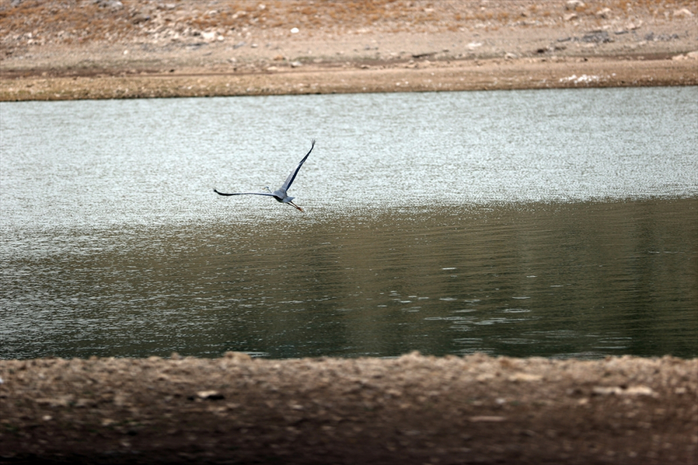 Konya'da suları çekilen May Barajı, kuraklığın boyutunu gözler önüne seriyor 7