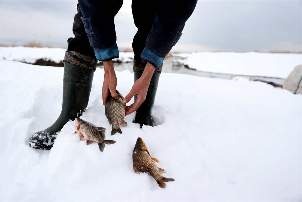 Konya'da tatlı su balıkçıları dondurucu soğukta buzları kırarak avlanıyor 11