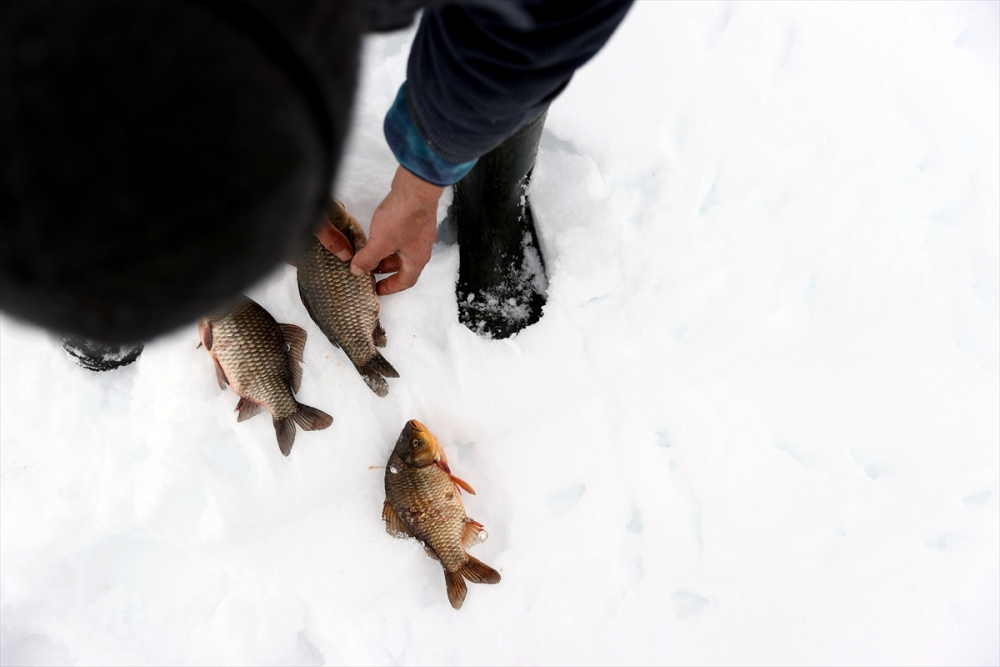Konya'da tatlı su balıkçıları dondurucu soğukta buzları kırarak avlanıyor 29
