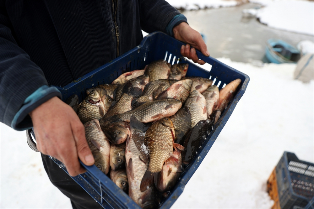 Konya'da tatlı su balıkçıları dondurucu soğukta buzları kırarak avlanıyor 30