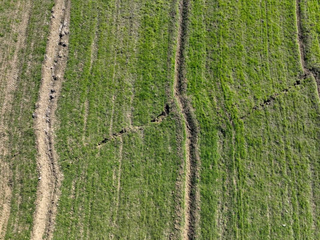 İslahiye'de deprem nedeniyle tarlalarda kayma ve uzun yarıklar oluştu 2