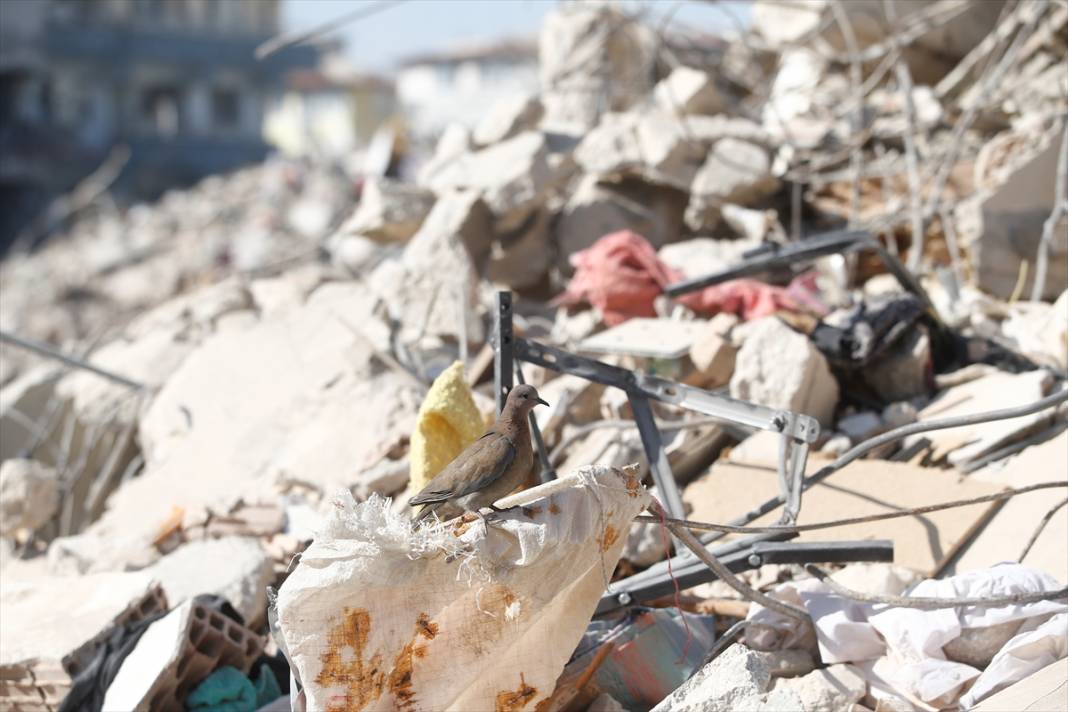 Kahramanmaraş merkezli depremlerden etkilenen Hatay'dan kareler 8