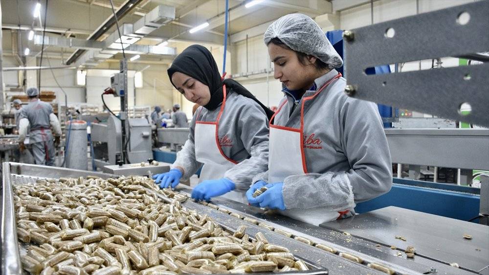 Konya'da şeker üreticilerinde bayram yoğunluğu sürüyor 10