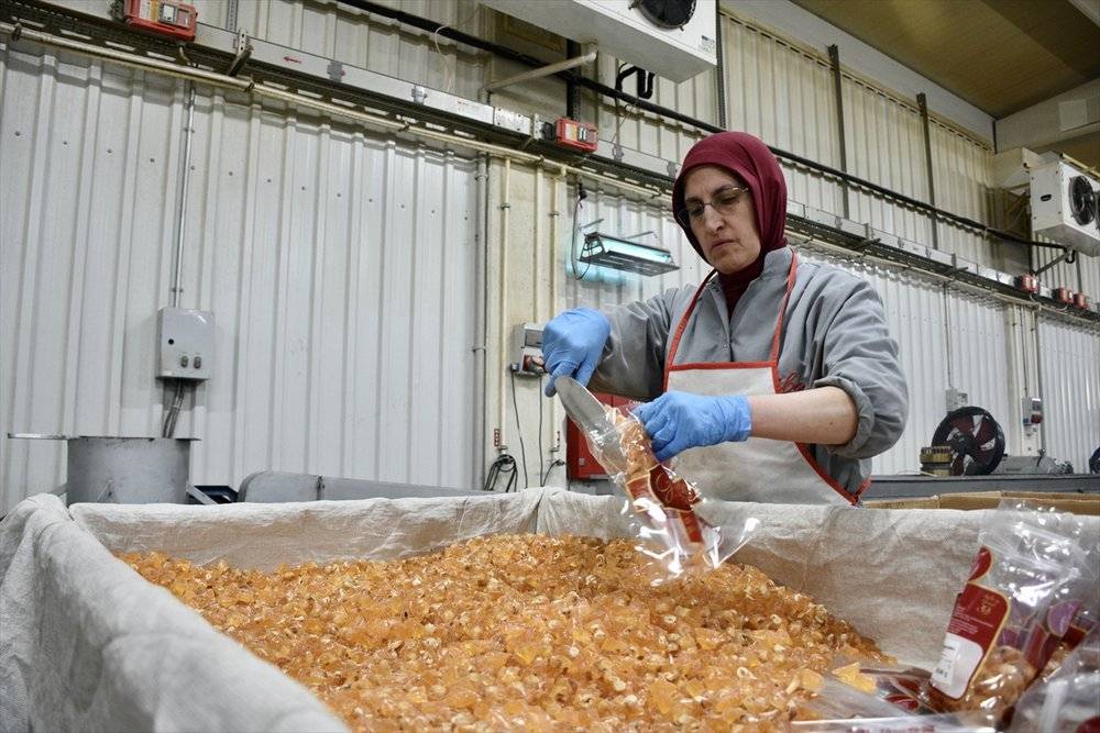 Konya'da şeker üreticilerinde bayram yoğunluğu sürüyor 8