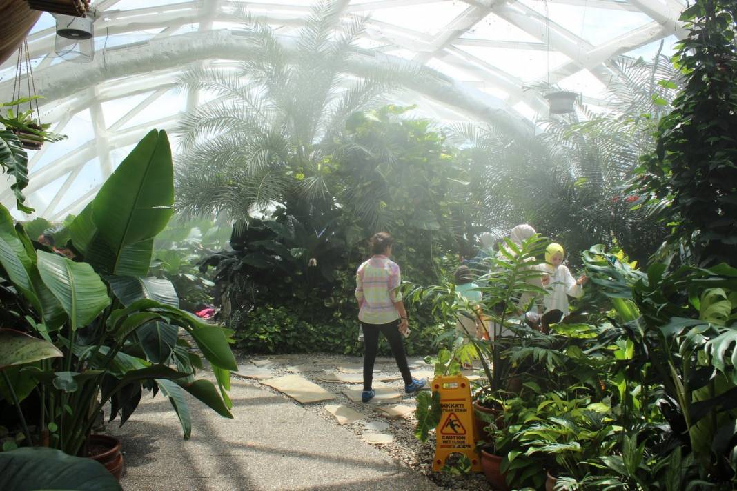 Konya Tropikal Kelebek Bahçesi turistlerin gözdesi oldu 10