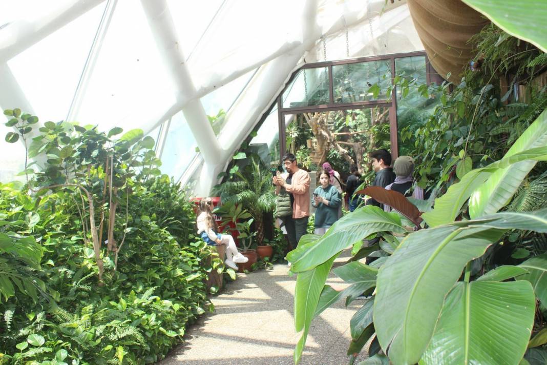 Konya Tropikal Kelebek Bahçesi turistlerin gözdesi oldu 11