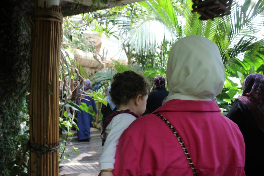 Konya Tropikal Kelebek Bahçesi turistlerin gözdesi oldu 14