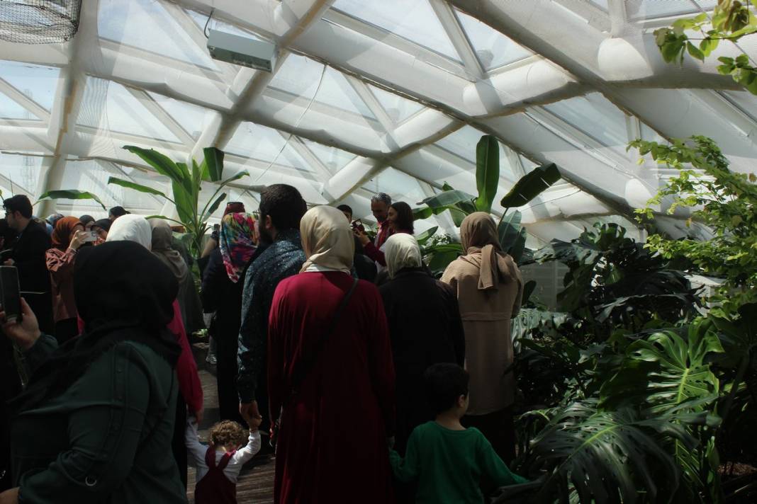 Konya Tropikal Kelebek Bahçesi turistlerin gözdesi oldu 15