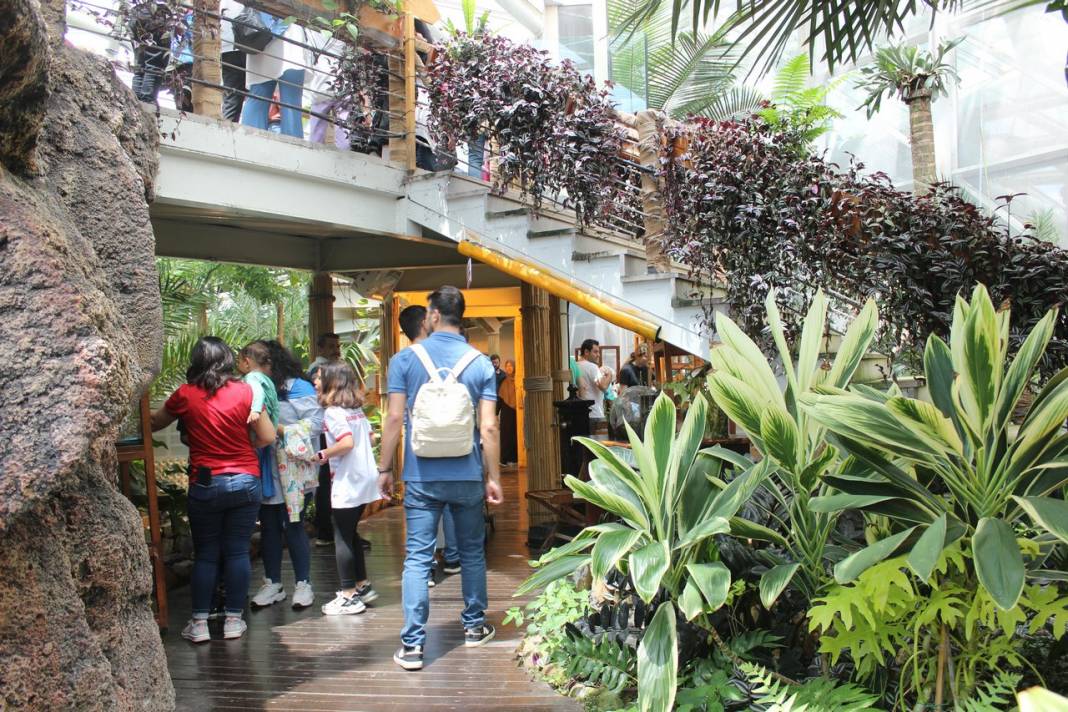 Konya Tropikal Kelebek Bahçesi turistlerin gözdesi oldu 16