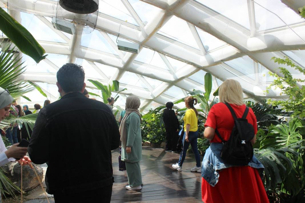 Konya Tropikal Kelebek Bahçesi turistlerin gözdesi oldu 17