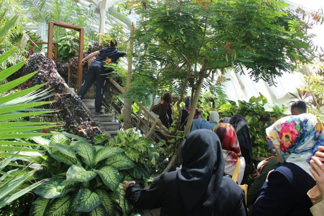 Konya Tropikal Kelebek Bahçesi turistlerin gözdesi oldu 19