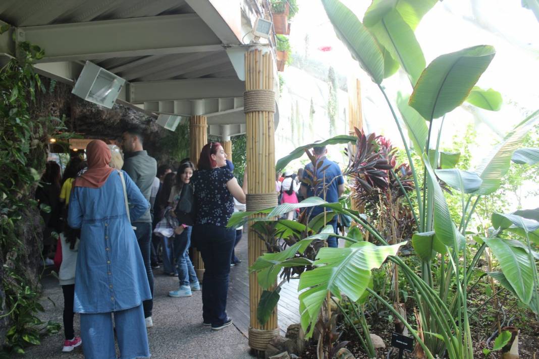 Konya Tropikal Kelebek Bahçesi turistlerin gözdesi oldu 21