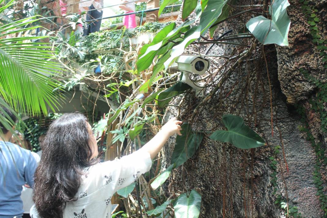 Konya Tropikal Kelebek Bahçesi turistlerin gözdesi oldu 22